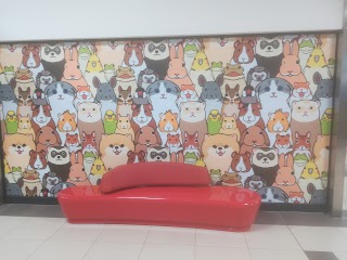 Tumy Pet Shop