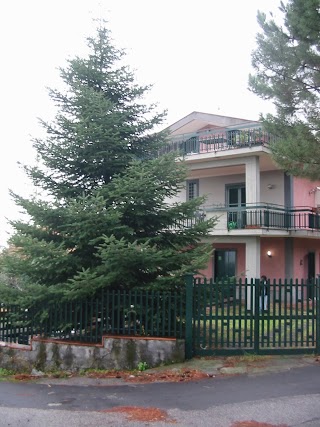 Bed and Breakfast - Casa Vacanze "Il Mirtillo"