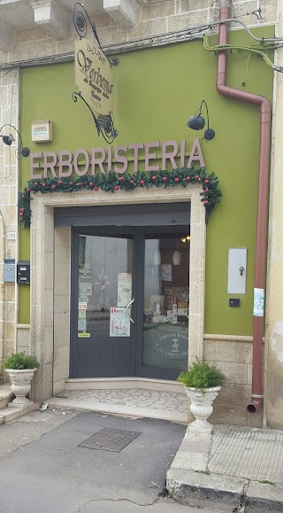 ERBORISTERIA VERBENA la saggezza della natura ERCHIE (BR)