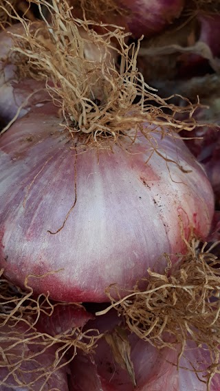 Punto vendita Cipolla Rossa di Partanna