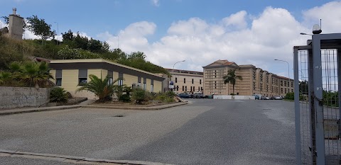 Università Mediterranea - Dipartimento di Agraria