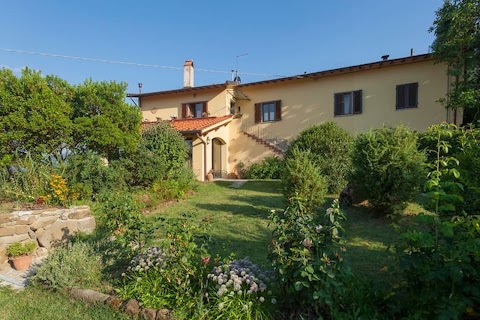 Porcigliano Olive Grove