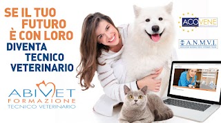 Abivet Società Benefit a R.L. - Corso per Tecnico Veterinario