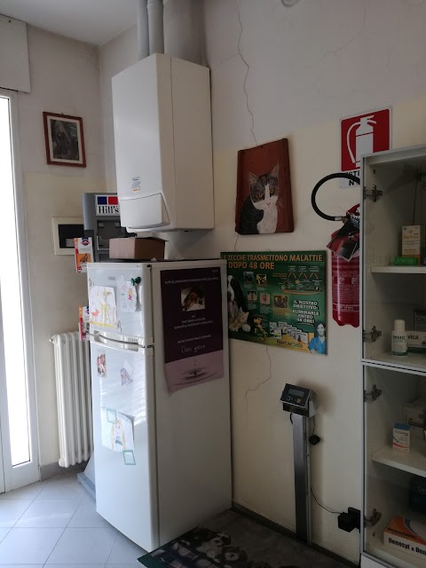 Ambulatorio Veterinario Dott.ssa Rondoni Elisa