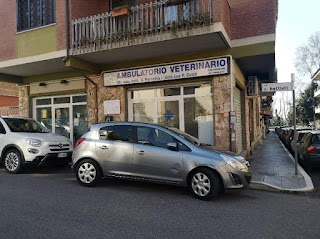 Ambulatorio Veterinario Conti - Porretta Grottaferrata Vets