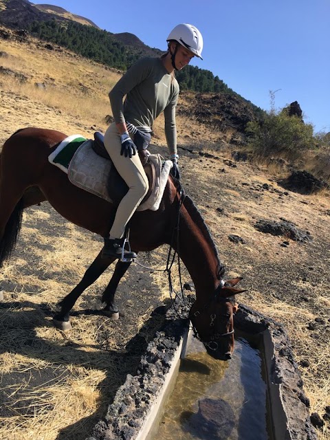 Etna Horse Riding/Etna Escursioni a cavallo