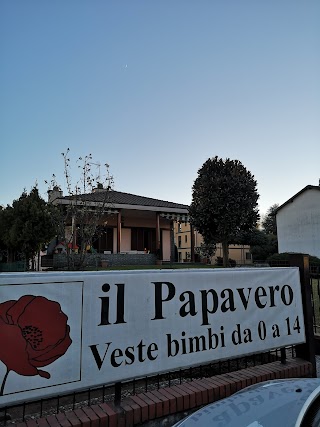 Il Papavero