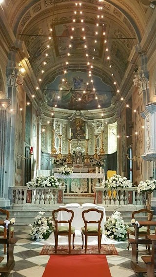 L'Angolo Verde - Fiorista - Vendita di Fiori e Piante e Composizioni Floreali Genova