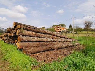 Industria Boschiva Venditti