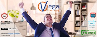 Vega Training