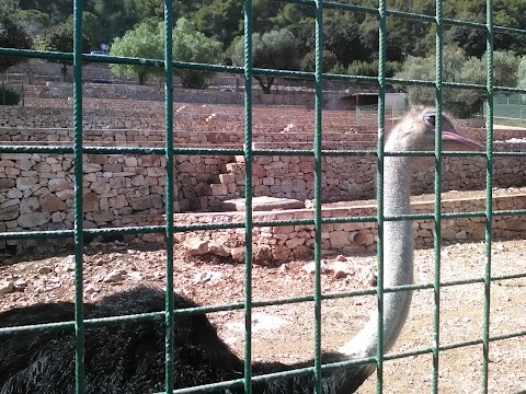 Parcheggio Zoo Safari Fasanolandia