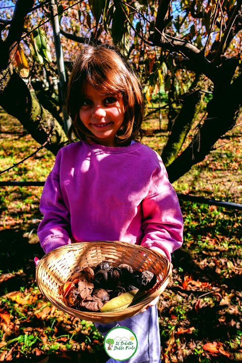 Il Salotto Delle Fiabe - Scuola dell'Infanzia-Asilo Nido-Eventi Outdoor-Campo estivo