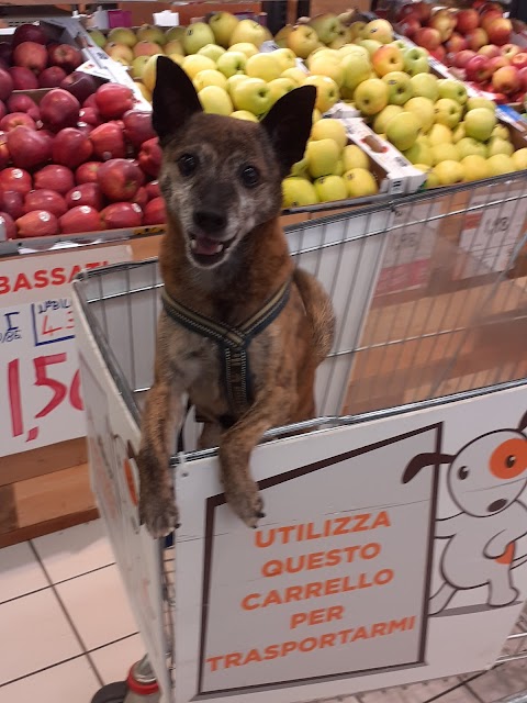 Alì supermercati - Via Calnova