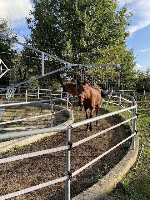 Centro Equestre Villa Mary