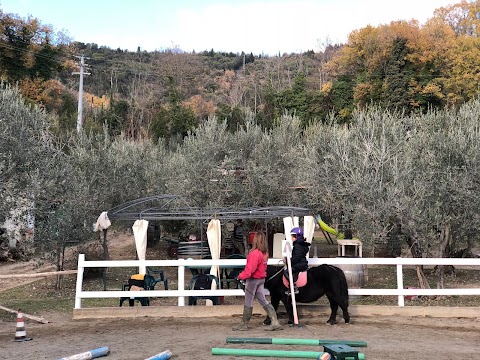 Centro Ippico Il Rospetto