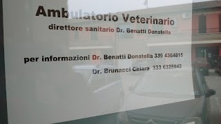 Benatti Dr. Donatella