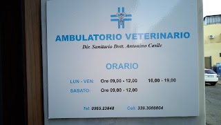 Ambulatorio Veterinario Casile Antonino