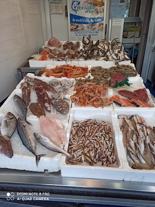 Pescheria Da Enzo