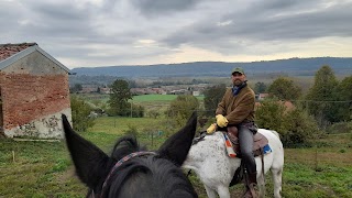 Asd wild horse trekking