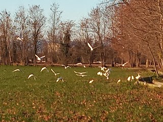 Parco rurale sovracomunale "Civiltà delle Rogge"