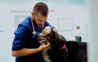 Ambulatorio Veterinario "Adelfos"