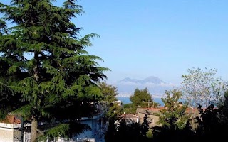 Bed & Breakfast Le Rondini