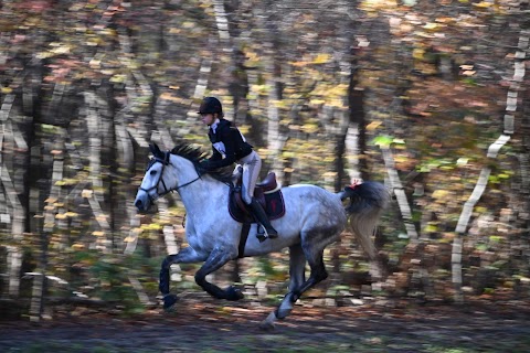 Riding Club di Casorate Percorsi A Cavallo Asd