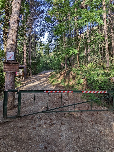 Parco Naturale del Monte San Giorgio