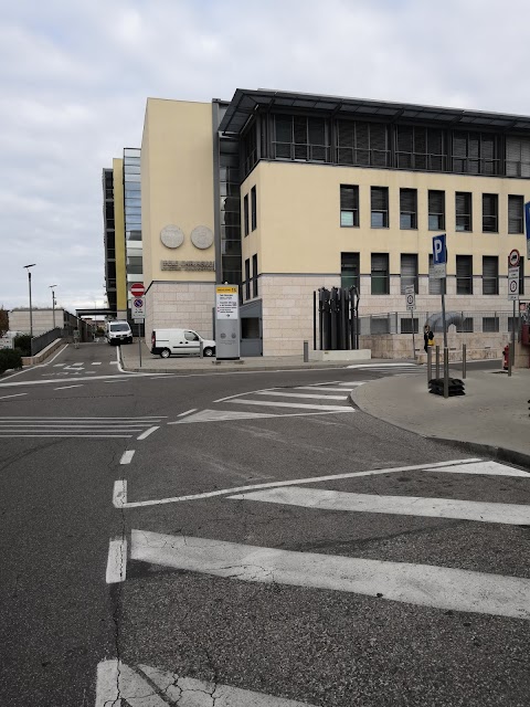 Ospedale Borgo Trento, Pronto Soccorso e Trauma Center