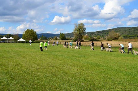 Cocca Pet Village - Centro Cinofilo Siena