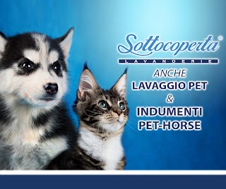 Lavanderia Self Service Sottocoperta - Zagarolo