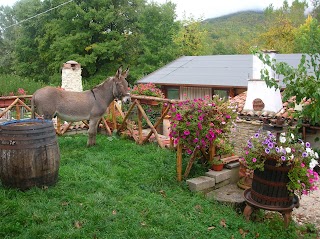 Agriturismo La Canestra - cucina tipica, fattoria didattica, camere