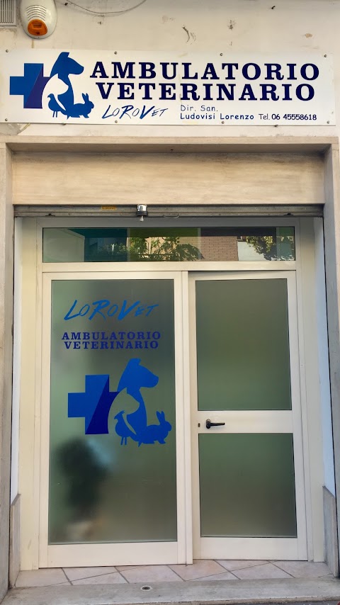 Ambulatorio Veterinario LoRoVet