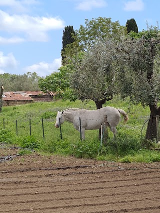 Bar Tabacchi