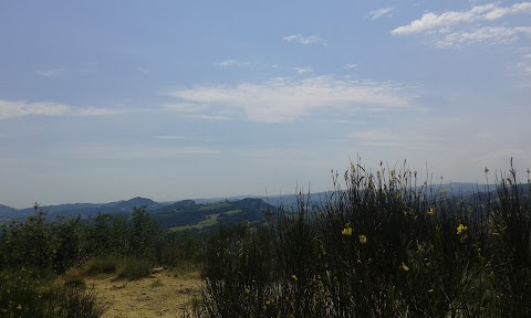 Centro Tutela e Ricerca Fauna Esotica e Selvatica- Monte Adone