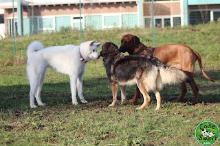 Centro Cinofilo Code Smart - DOG PARK