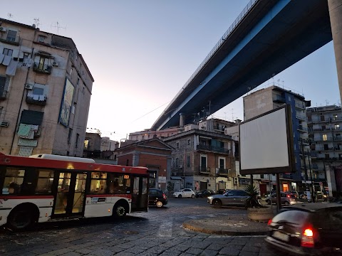 Campoluongo Rosa Di Giuseppe E Roberto Pezzullo S