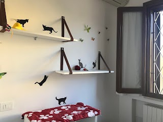 Purrfect House