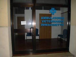 Ambulatorio Veterinario Immaginetta Dott. Paolo Borghini