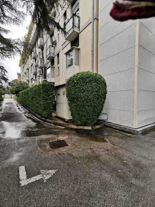 A.M.A. Servizi di Giardinaggio-Abbattimento Alberi-Giardiniere Palermo