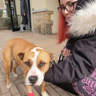 Clinica Veterinaria Corridoni di Epis Giorgio e MilesiPaolo