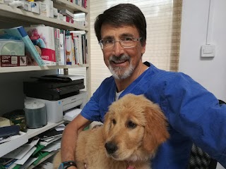 Ambulatorio Veterinario Cicogna