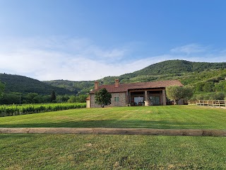 Agriturismo Franciscus di Bressanin Fiammetta