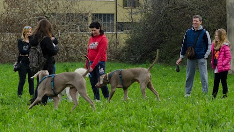 Centro Cinofilo Cerberus