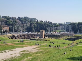 Belvedere Romolo e Remo