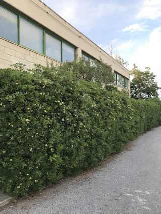 Scuola Secondaria di I grado "Ungaretti"