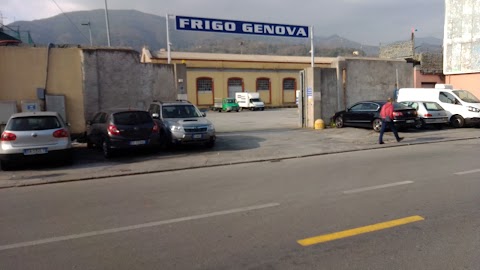 Frigo Genova