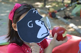 A.s.d. Gorilla