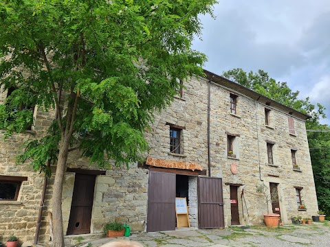 Azienda Agrituristica Ca’ d’Alfieri