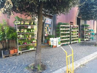 Agricola di Cetroni Emiliano e Vanessa